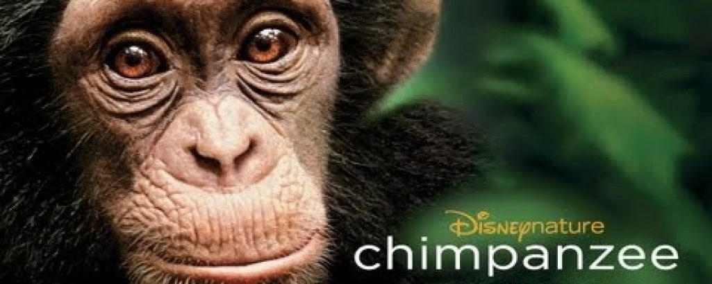 Chimpanzee (2012)